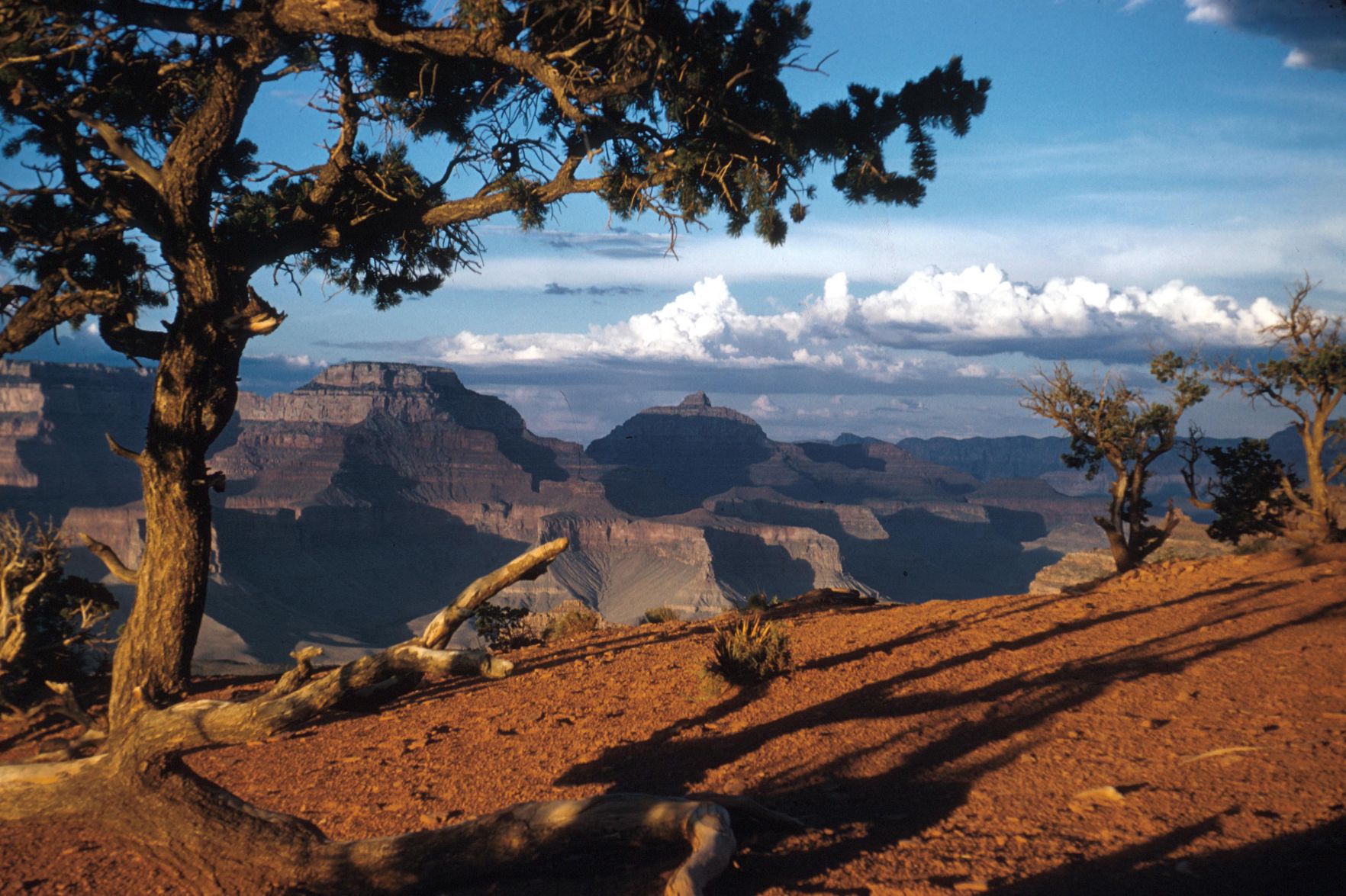 Grand Canyon National Park